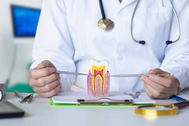Best Emergency Root Canal Treatment in Whitesboro, NY